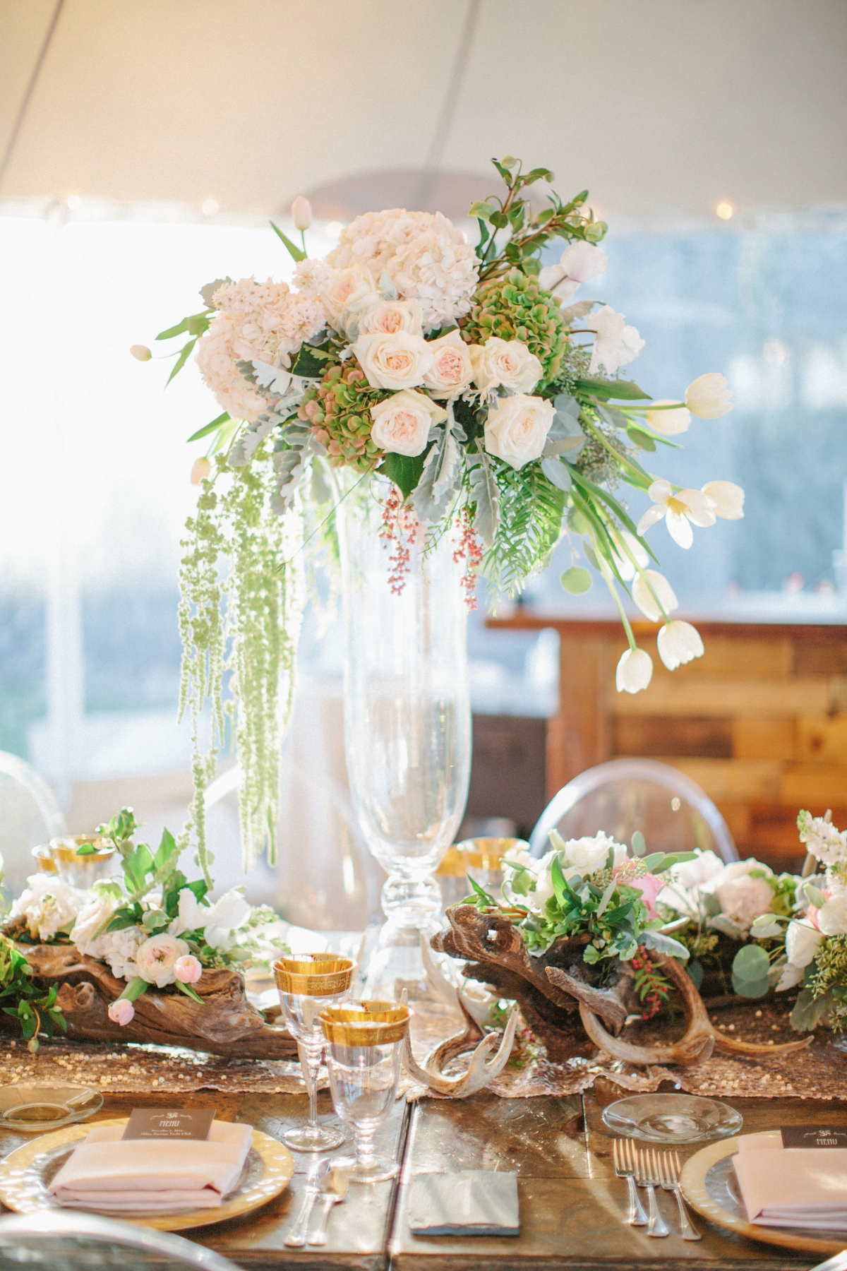 Divinity Elevated » Frontier Flowers of Fontana